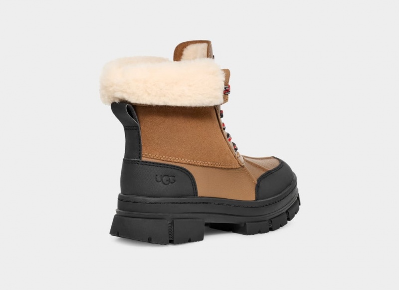 Ugg Ashton Addie Ženske Cizme Smeđe | DRM502896