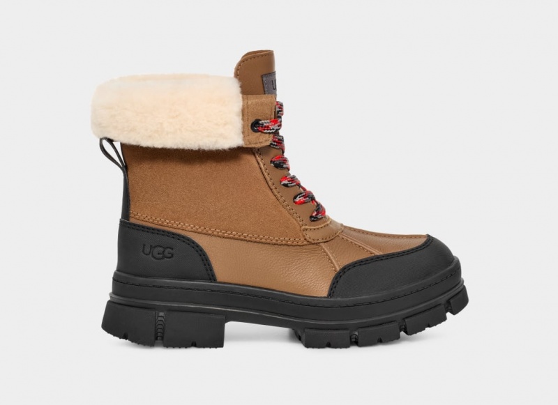 Ugg Ashton Addie Ženske Cizme Smeđe | DRM502896