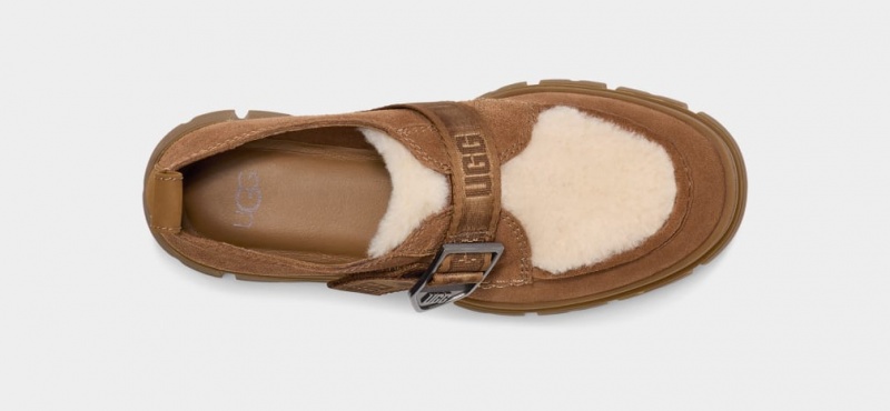 Ugg Ashton Suede Ženske Klompe Smeđe | UFD892061