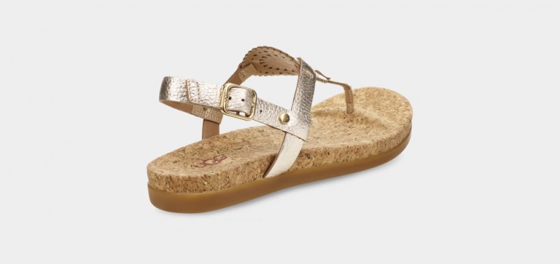 Ugg Ayden II Metallic Ženske Sandale Zlatne | TPB927814