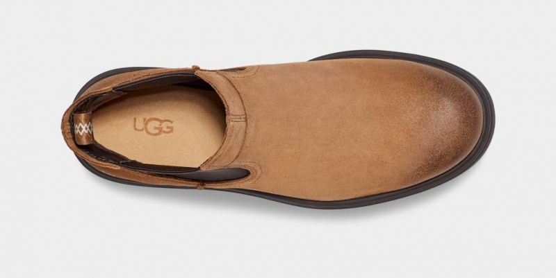 Ugg Biltmore Muške Chelsea Čizme Smeđe | KUM604987