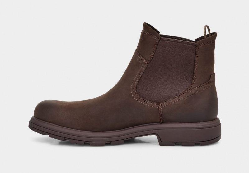 Ugg Biltmore Muške Chelsea Čizme Smeđe | QNX842301