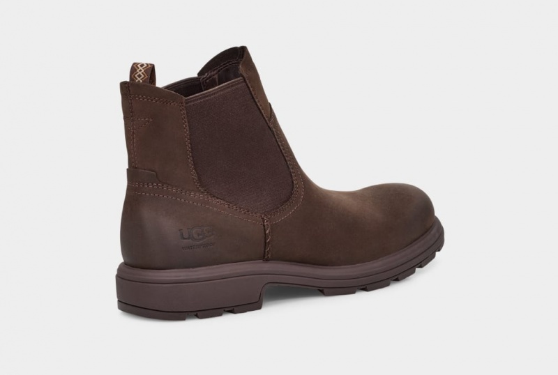 Ugg Biltmore Muške Chelsea Čizme Smeđe | QNX842301