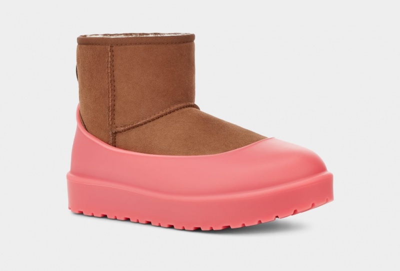 Ugg Boot Guard Muške Cizme Koraljne | FMZ186940