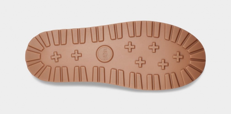 Ugg Boot Guard Muške Cizme Smeđe | DZB385467