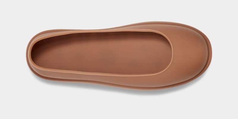 Ugg Boot Guard Ženske Cizme Smeđe | PTL218970