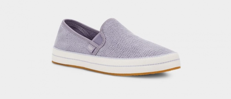 Ugg Bren Ženske Slip On Ljubičaste | ZGT253760