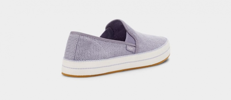 Ugg Bren Ženske Slip On Ljubičaste | ZGT253760