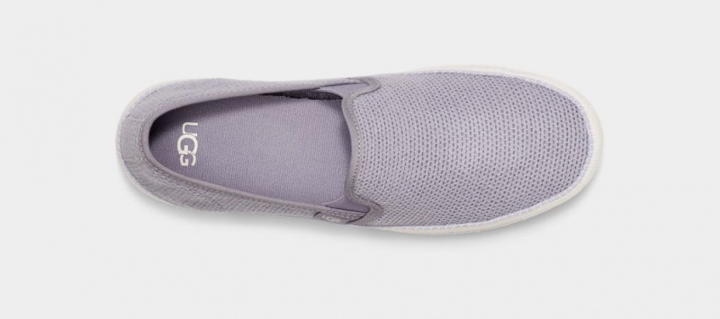 Ugg Bren Ženske Slip On Ljubičaste | ZGT253760