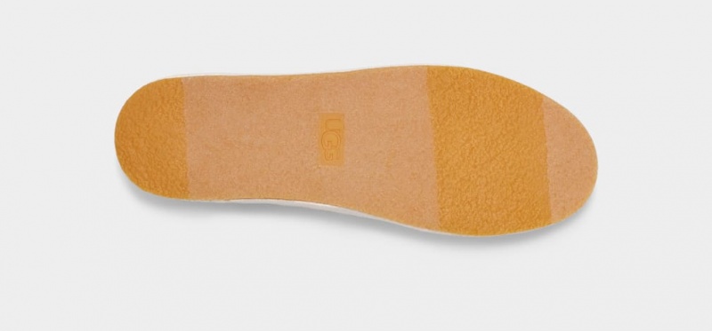 Ugg Bren Ženske Slip On Ljubičaste | ZGT253760