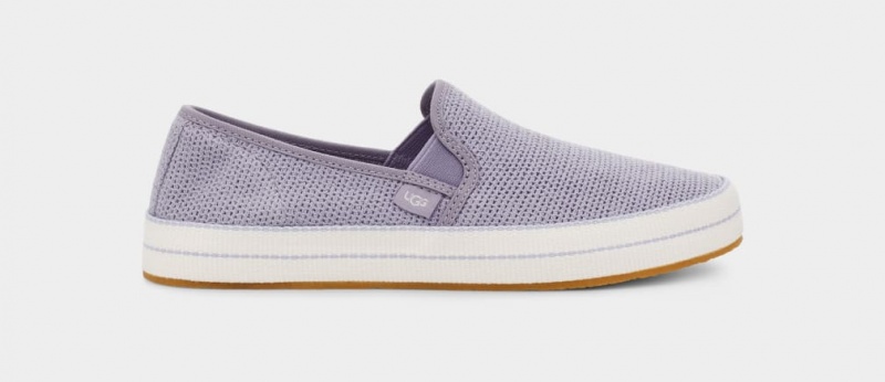 Ugg Bren Ženske Slip On Ljubičaste | ZGT253760