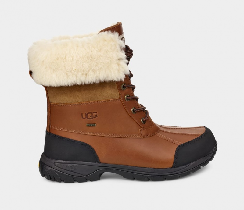 Ugg Butte Muške Cizme Smeđe | IVH360894