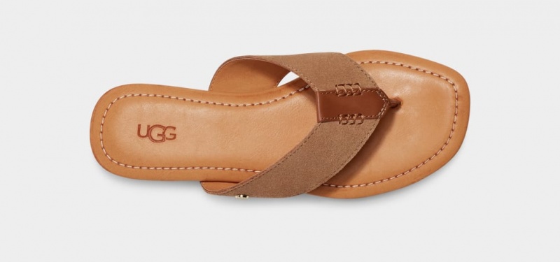 Ugg Carey Flip Suede Ženske Natikače Smeđe | MSO673580