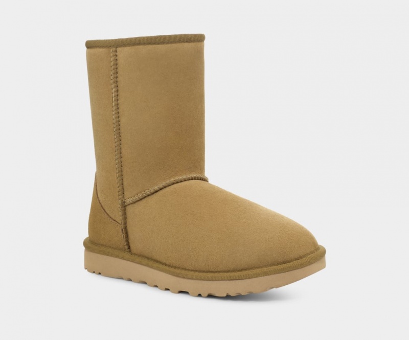 Ugg Classic II Ženske Cizme Smeđe | ZPT967482