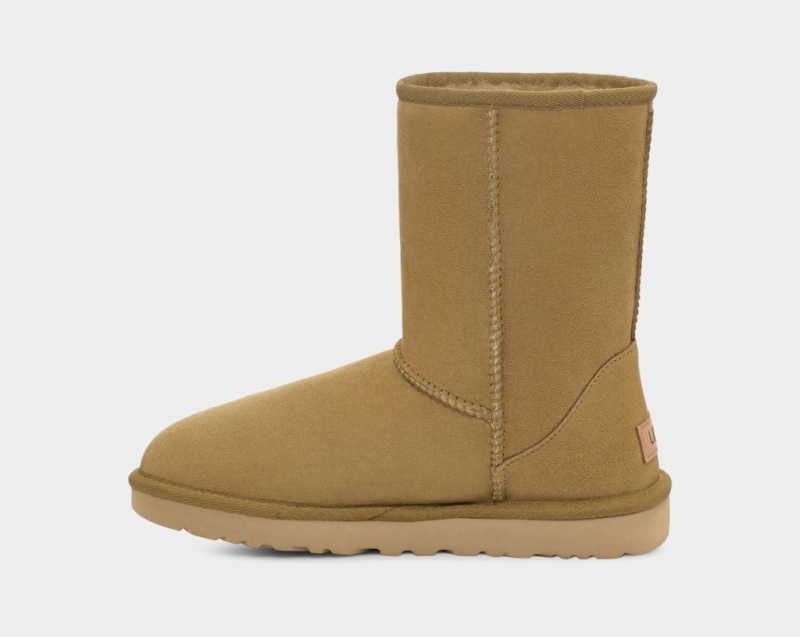 Ugg Classic II Ženske Cizme Smeđe | ZPT967482