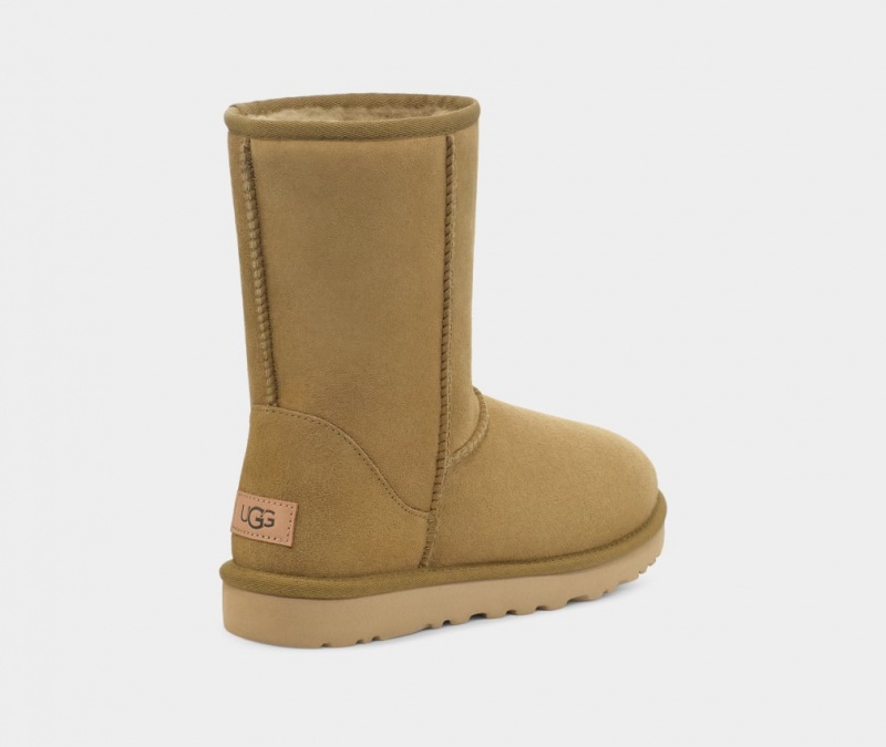 Ugg Classic II Ženske Cizme Smeđe | ZPT967482