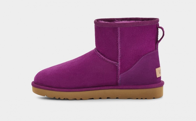 Ugg Classic Mini II Ženske Cizme Ljubičaste | KOP387246