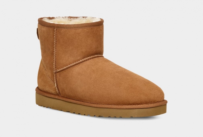 Ugg Classic Mini Muške Cizme Smeđe | JQF402317