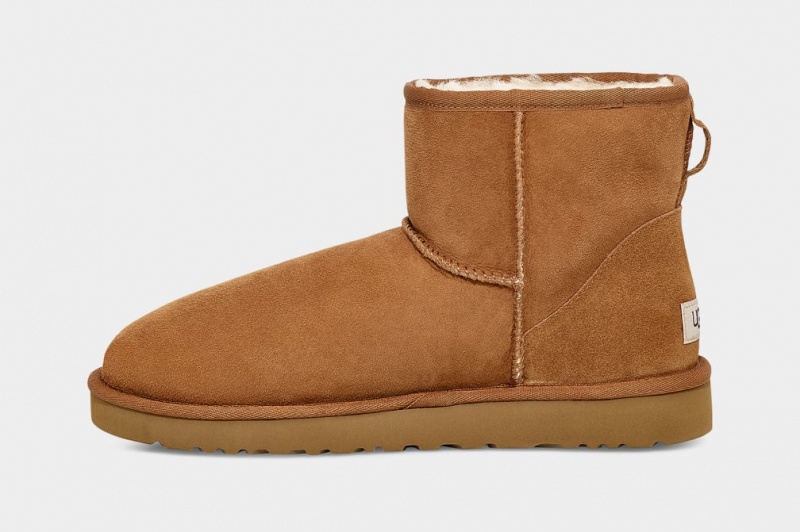 Ugg Classic Mini Muške Cizme Smeđe | JQF402317