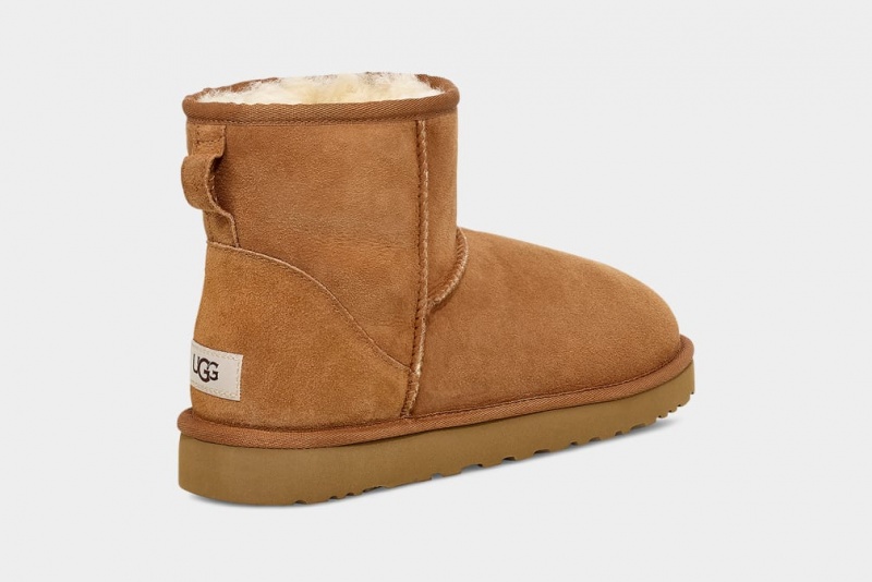 Ugg Classic Mini Muške Cizme Smeđe | JQF402317