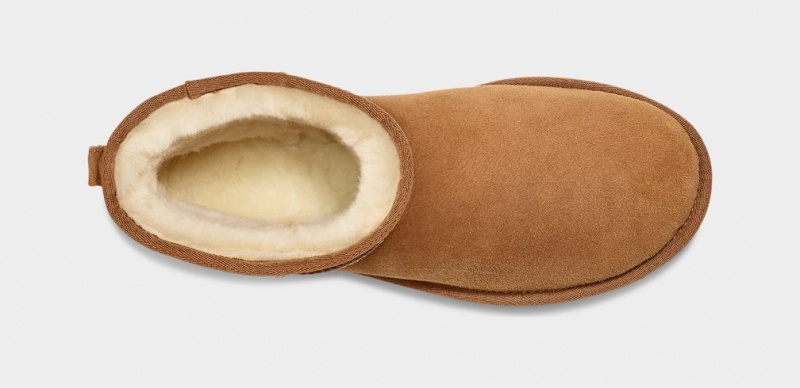 Ugg Classic Mini Muške Cizme Smeđe | JQF402317