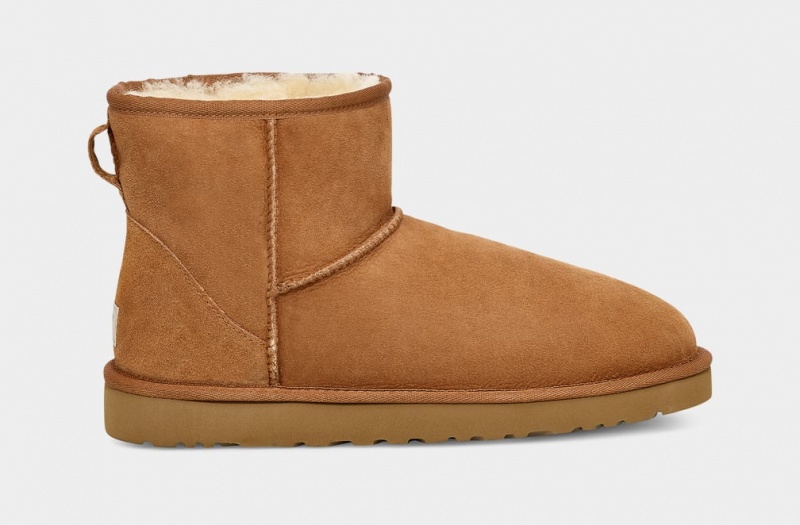 Ugg Classic Mini Muške Cizme Smeđe | JQF402317