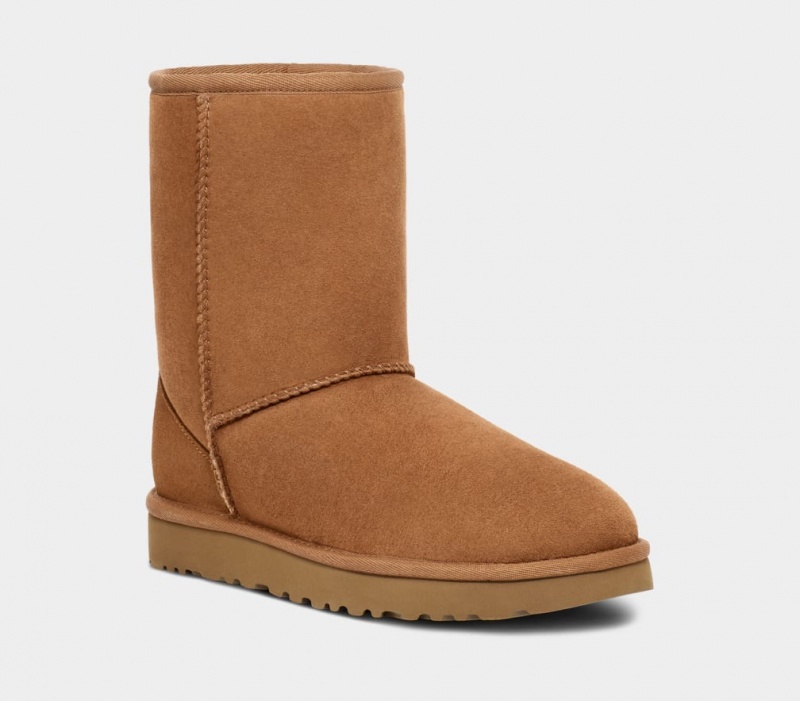 Ugg Classic Muške Cizme Smeđe | KRQ790218