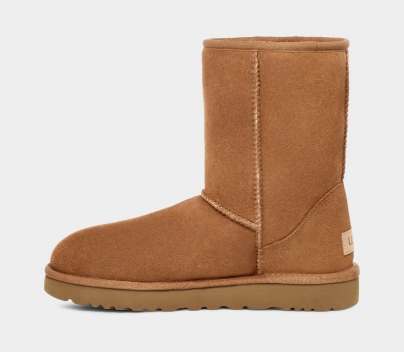 Ugg Classic Muške Cizme Smeđe | KRQ790218