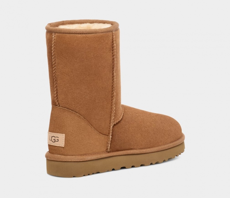 Ugg Classic Muške Cizme Smeđe | KRQ790218