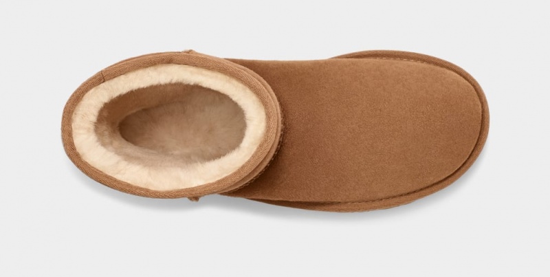 Ugg Classic Muške Cizme Smeđe | KRQ790218