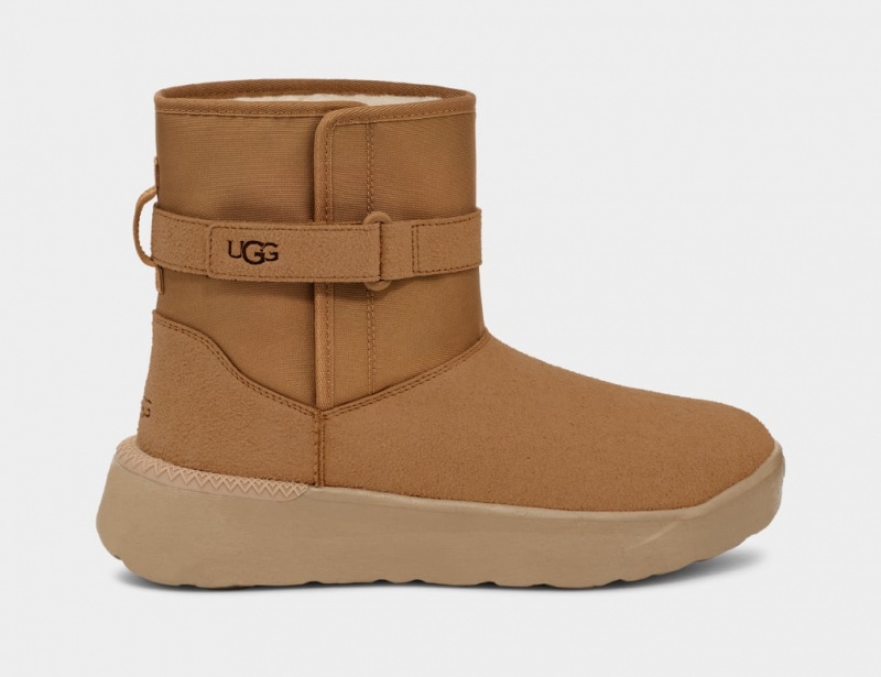 Ugg Classic S Muške Cizme Smeđe | NCT023659