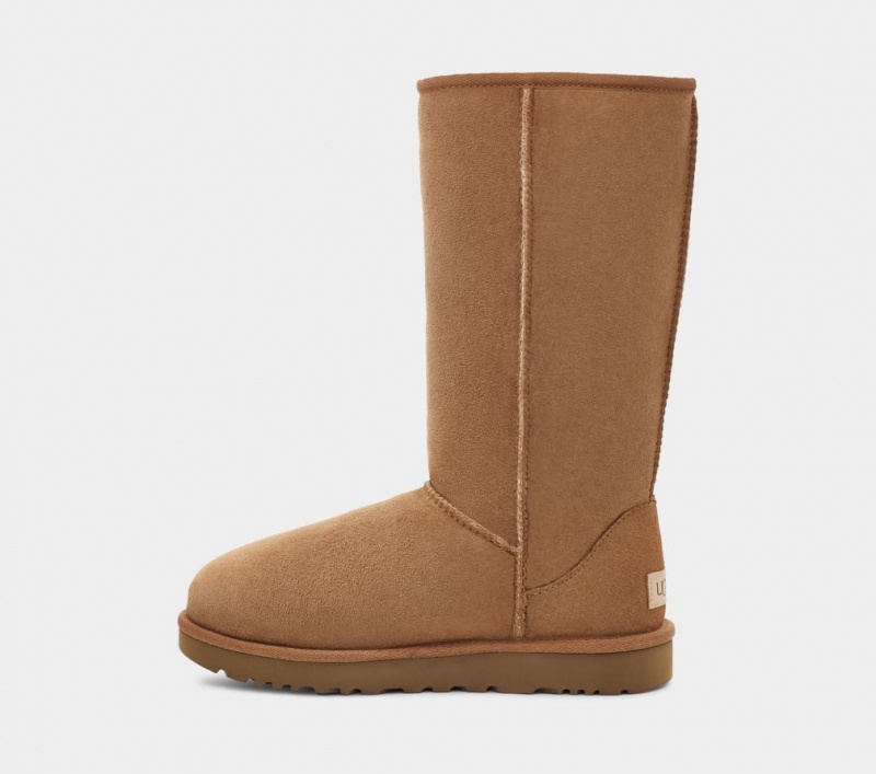 Ugg Classic Tall II Ženske Cizme Smeđe | TJP026317