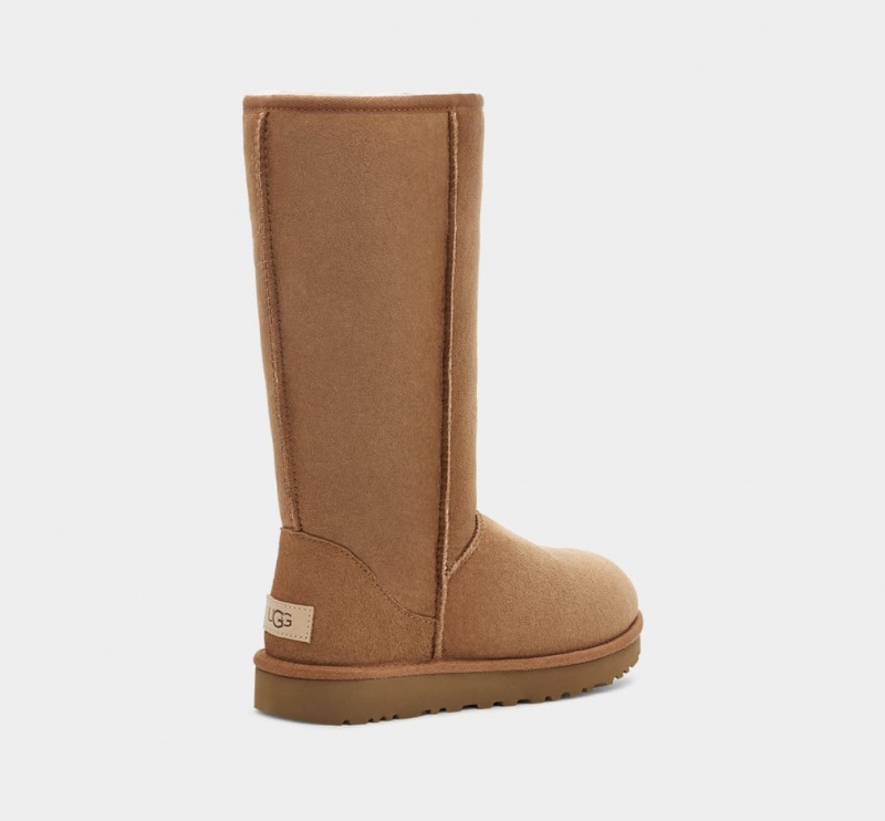 Ugg Classic Tall II Ženske Cizme Smeđe | TJP026317