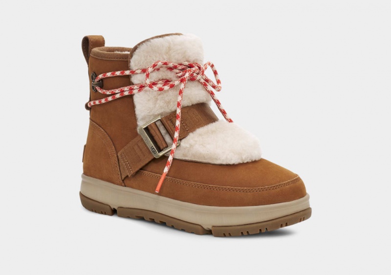 Ugg Classic Weather Hiker Ženske Cizme Smeđe | NWA371529