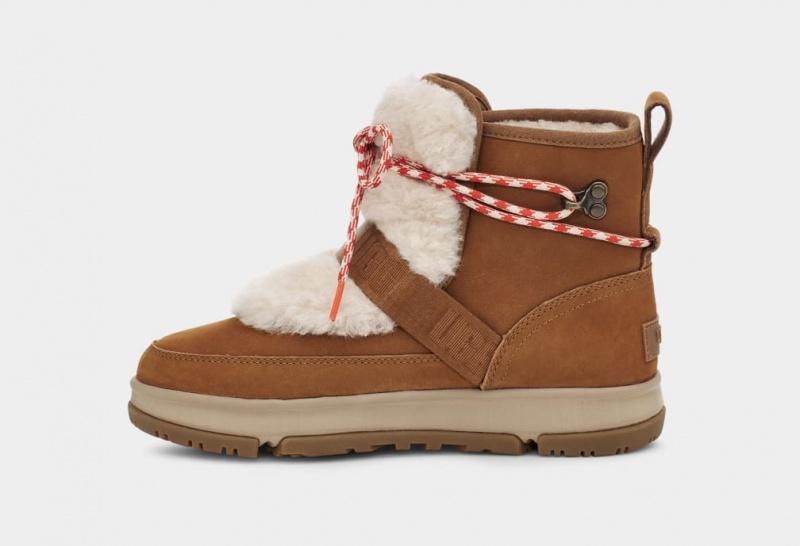 Ugg Classic Weather Hiker Ženske Cizme Smeđe | NWA371529