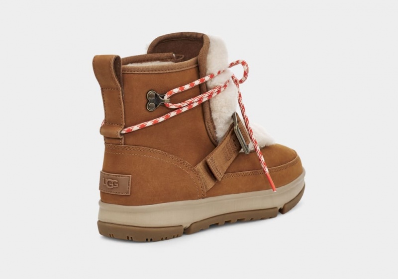 Ugg Classic Weather Hiker Ženske Cizme Smeđe | NWA371529