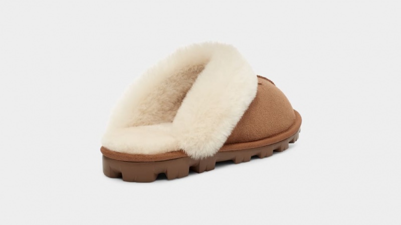 Ugg Coquette Ženske Papuče Smeđe | VBH624950