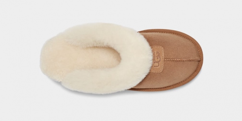 Ugg Coquette Ženske Papuče Smeđe | VBH624950