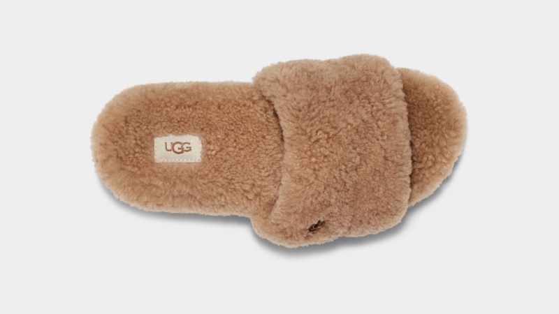 Ugg Cozetta Curly Ženske Natikače Smeđe | ULP453168