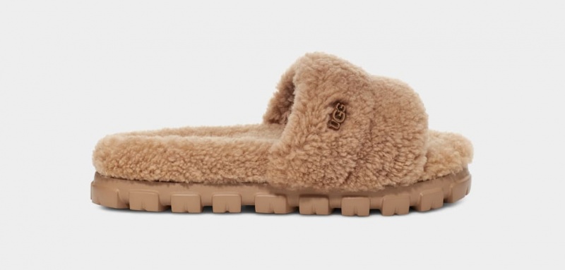 Ugg Cozetta Curly Ženske Natikače Smeđe | ULP453168