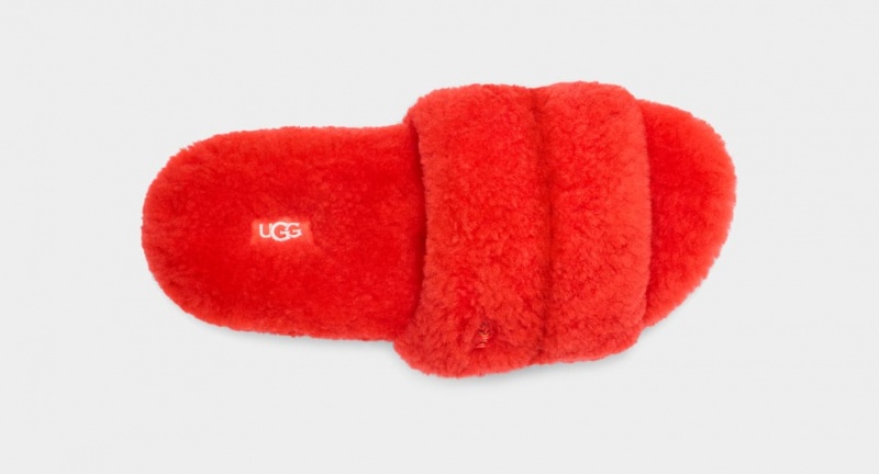 Ugg Cozetta Curly Ženske Papuče Crvene | MHQ859460