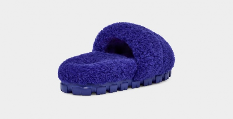 Ugg Cozetta Curly Ženske Papuče Plave | HNP502369