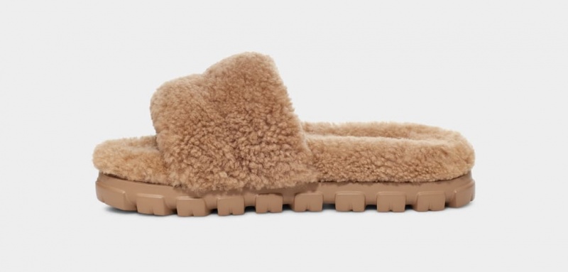 Ugg Cozetta Curly Ženske Papuče Smeđe | LEV207593