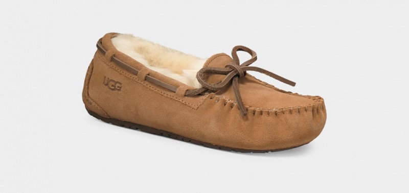 Ugg Dakota Dječje Papuče Smeđe | RSO736548