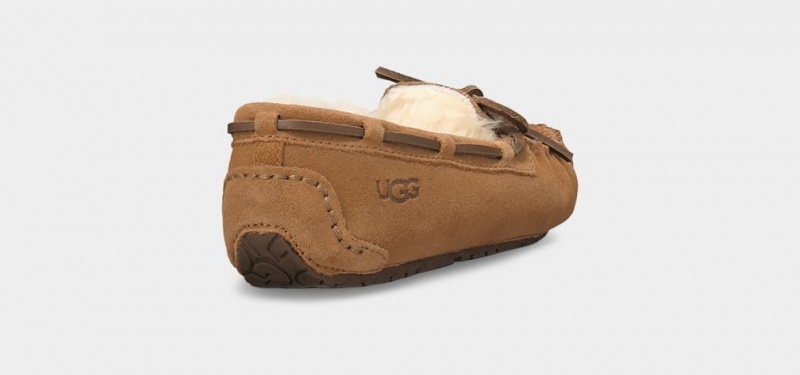 Ugg Dakota Dječje Papuče Smeđe | RSO736548