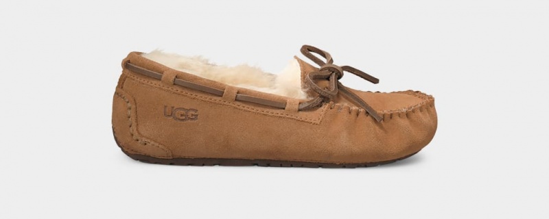 Ugg Dakota Dječje Papuče Smeđe | RSO736548