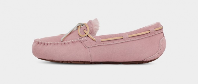 Ugg Dakota Ženske Papuče Roze Sive | PHR704865