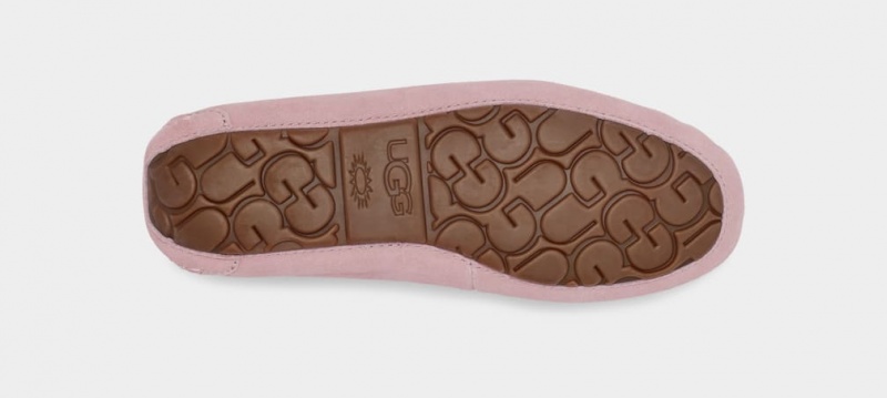 Ugg Dakota Ženske Papuče Roze Sive | PHR704865