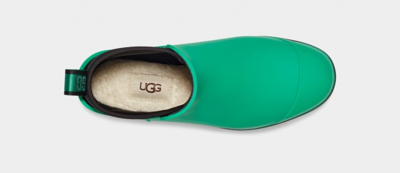 Ugg Droplet Ženske Cizme Tirkizne Zelene | AQH135269