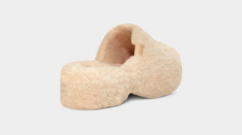 Ugg Fuzz Sugar Ženske Klompe Bež | PKR982514